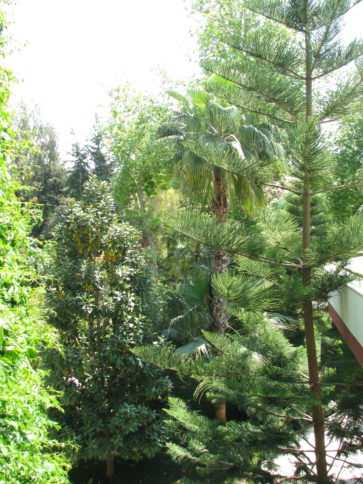 imagini hotel DELPHIN BOTANIK